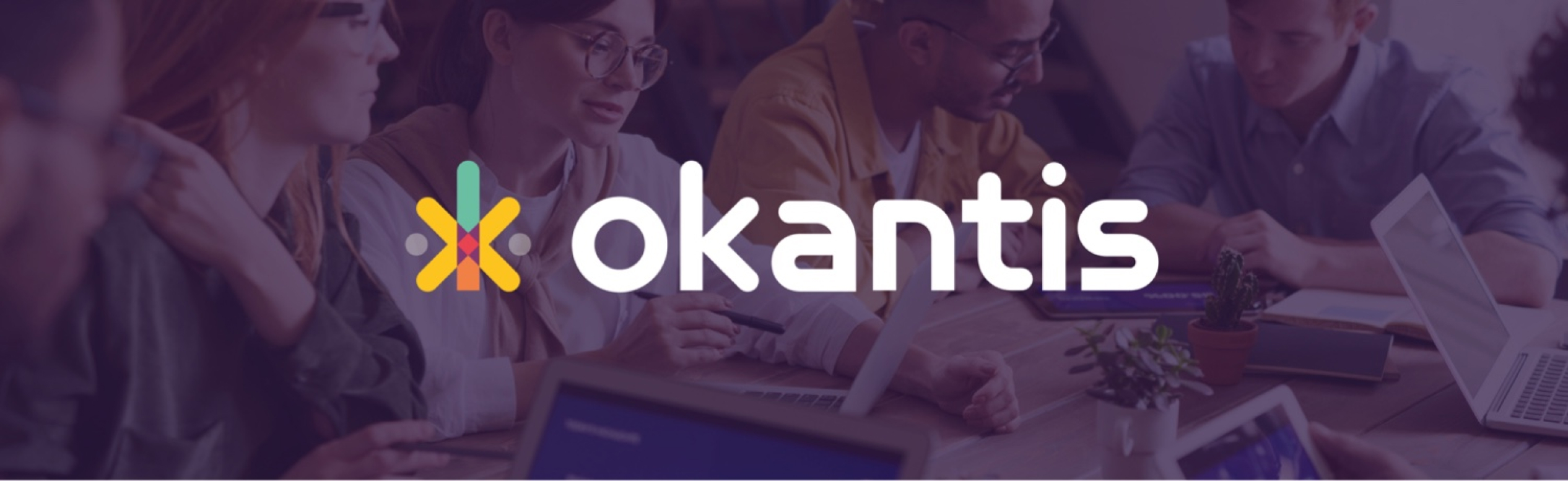 Agence Pixine : logotype réalisé pour la société Okantis